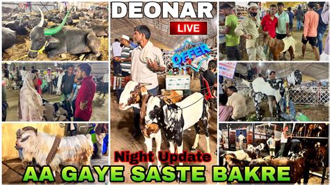 Deonar Bakra Mandi Mein Aa Gye Saste Qurbani Ke Bakre DAY 4 Night