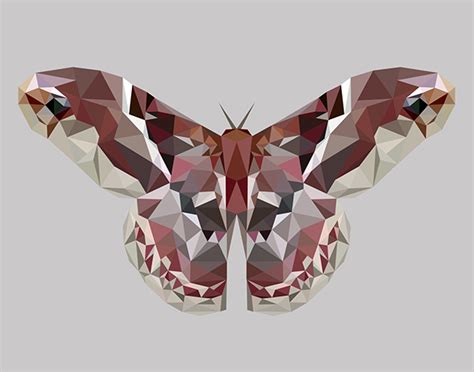 Moth Art on Behance