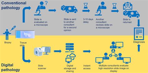Next Generation Of Digital Pathology Npl
