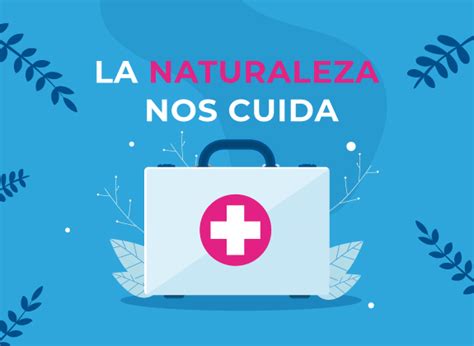 El Cuidado Del Ambiente Y Su Impacto En La Salud