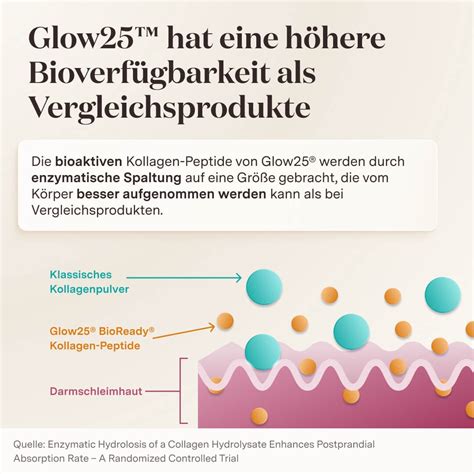 Kollagen Pulver G Hochwertiges Hydrolysat