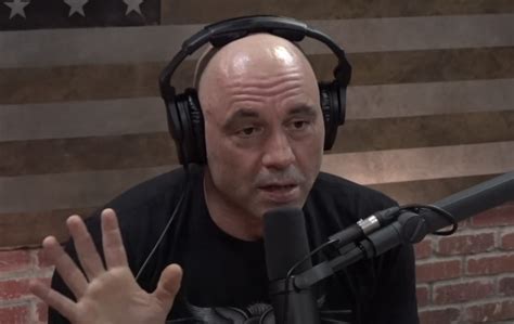 Joe Rogan Urges Police And Customs Officials To Take Drugs To Rethink