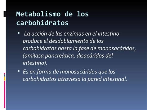 Diaespositiva Metabolismo De Los Carbohidratos Ppt