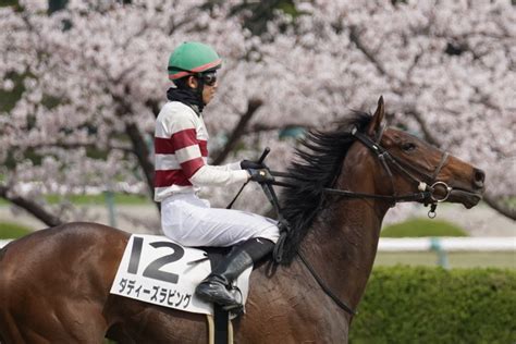 あっきい On Twitter 今日の鷲頭虎太騎手！ 阪神2r 3歳未勝利 ダディーズラビング 人気以上の着順に持って来たね！ 一鞍入魂で頑張れ！頑張れ！