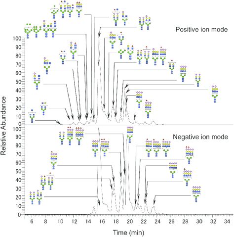 Typical N Glycan Profile From Plasma Proteins In Ssc Deduced N Glycan