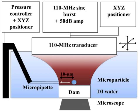 Calibration Of Trapping Force Using Micropipette Aspiration Schematic