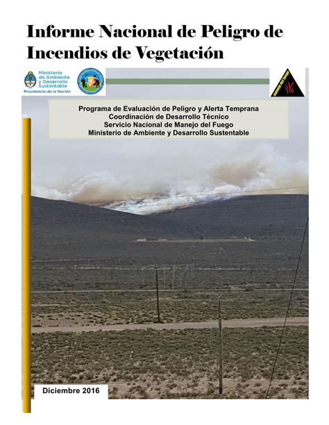 Pdf Informe Nacional De Peligro De Incendios De Vegetación