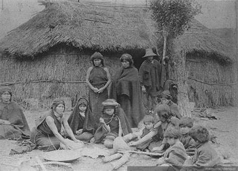 Mapuche Group