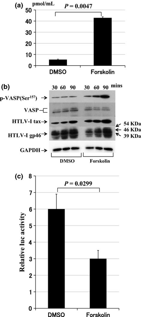 Intracellular Cyclic Adenosine Monophosphate Regulates The Efficiency