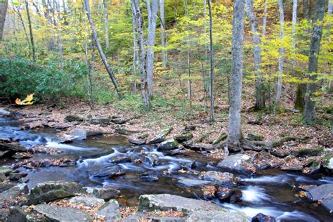 Fall Creek Scene | Creeks & Streams| Free Nature Pictures by ...