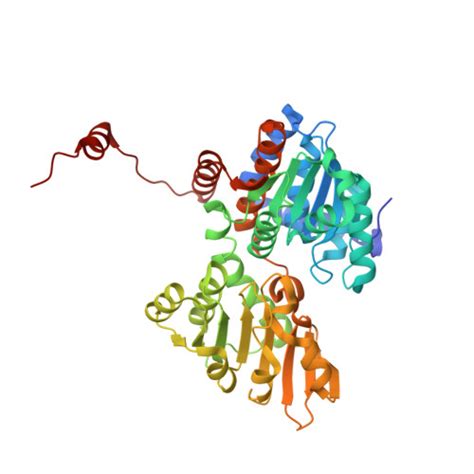 RCSB PDB 7O5L Crystal Structure Of S Adenosyl L Homocysteine