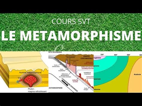 Top Min Pour Tout Comprendre Sur Le M Tamorphisme Et La Formation