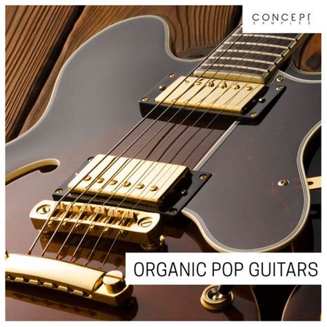 Audio Masters Organic Pop Guitars Sample Pack Slooply