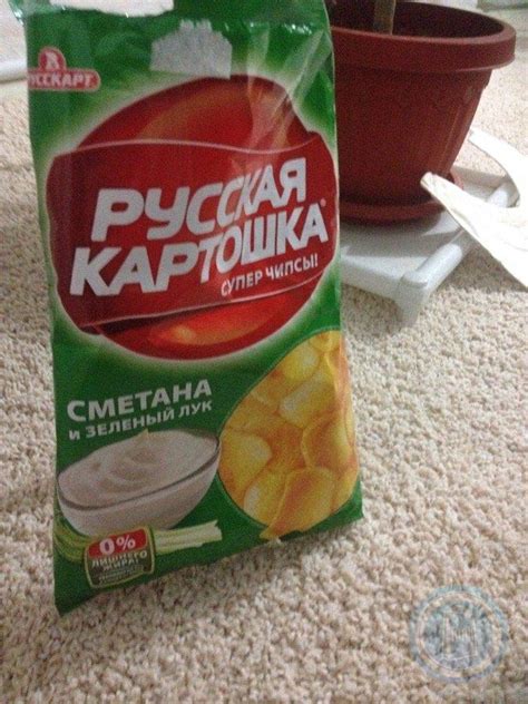4602041005486 ЧИПСЫ КАРТОФЕЛЬНЫЕ « РУССКАЯ КАРТОШКА» СО ВКУСОМ СМЕТАНЫ ...
