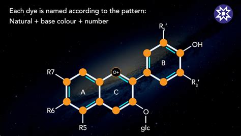 Different Types of Dyes with Chemical Structure | Meghmani