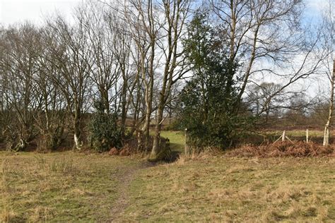 Footpath To Old Heathfield N Chadwick Cc By Sa 2 0 Geograph