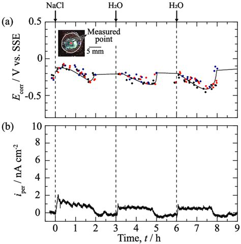 Changes In A Corrosion Potential Ecorr And B Hydrogen Permeation