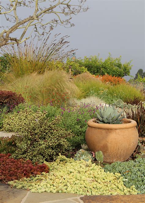 Xeriscape Design That S Lush Colorful And Vibrant