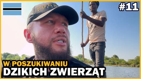 Botswana Zab Dzili My W Dziczy Ryzykowna Wyprawa W Poszukiwaniu