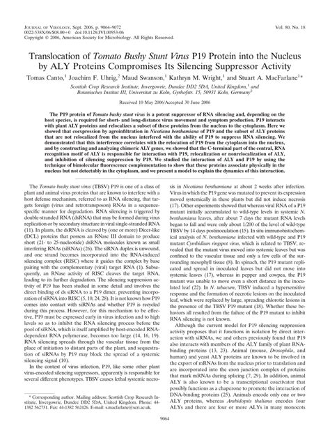 translocation  tomato bushy stunt virus p protein