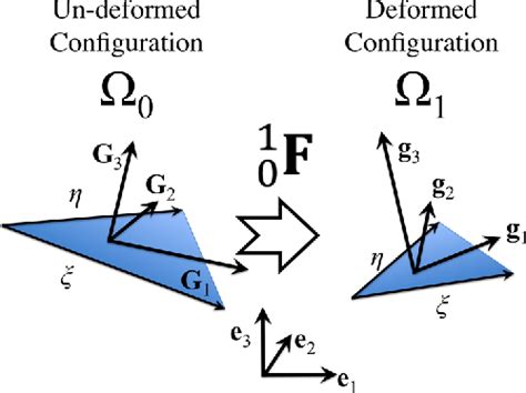 figure    method  predicting collagen fiber realignment
