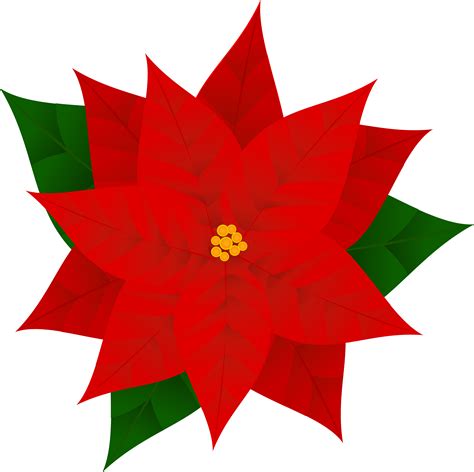 Download Poinsettia Clip Art Flor De Pascua Dibujos Png Download 92967 Pinclipart