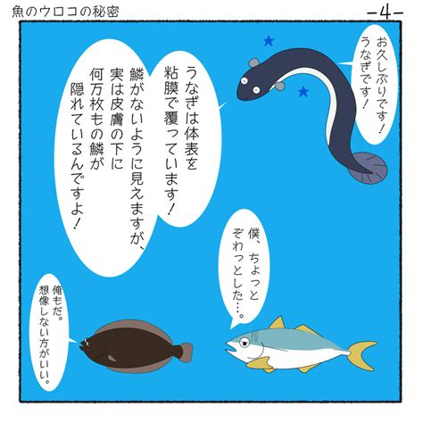 魚の鱗の秘密を探る！ サカナシティ