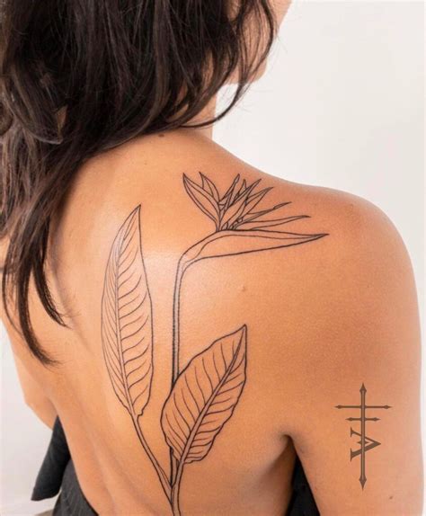 25 Stunning Bird Of Paradise Tattoo Ideas In 2022 25 Bird Of Paradise