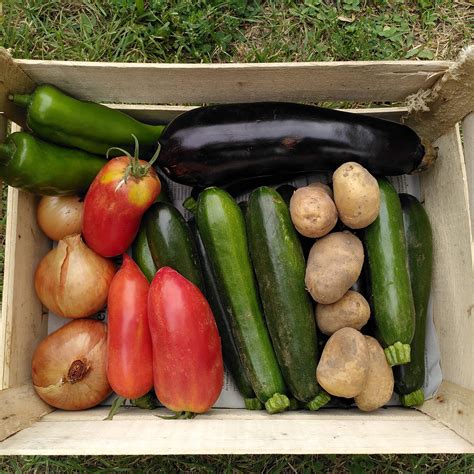 Colis Pour Recettes Personnes Ratatouille Et Velout De Courgettes