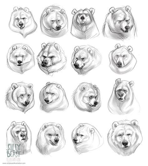 Bear Concepts On Behance