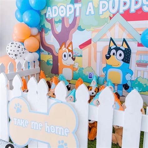 Bluey Party Decorations