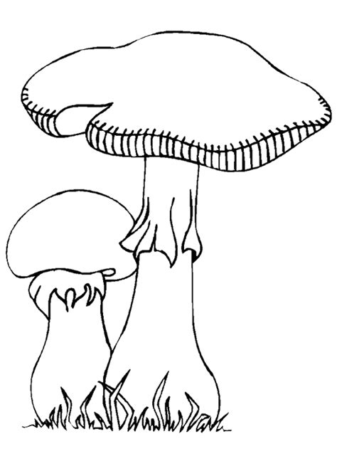 Coloriage Champignon D Automne Hugolescargot