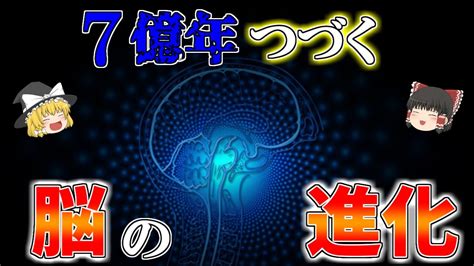 【ゆっくり解説】脳の進化－7億年の歴史ー脳はどんな進化をして今に至るのか？ Youtube