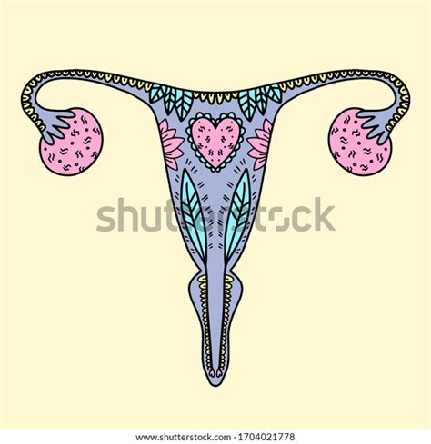 Illustration Female Reproductive System Doodle Illustration Stock