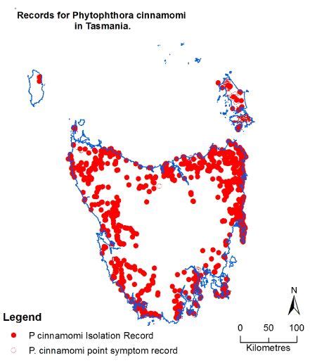Distribution of Phytophthora cinnamomi in Native Tasmanian Vegetation