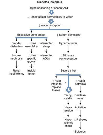 Concept Map Pathophysiology Diabetes Insipidus Brainly Ph