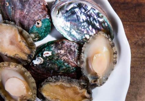 Irresistible Canned Abalone Recipes you must try: Savor The Culinary ...