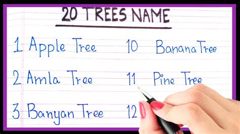 20 Trees Name In English Trees Ke Naam English Mein Pedo Ke Naam