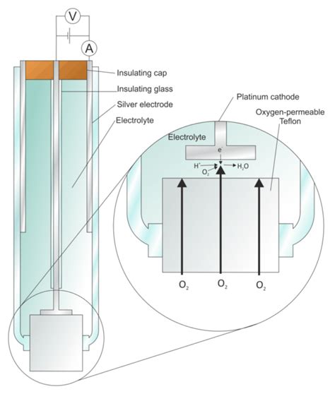 Clark Oxygen Electrode Scintica