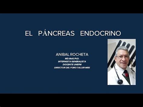 Fisiolog A Del P Ncreas Endocrino Insulina Glucag N Y Somatostatina