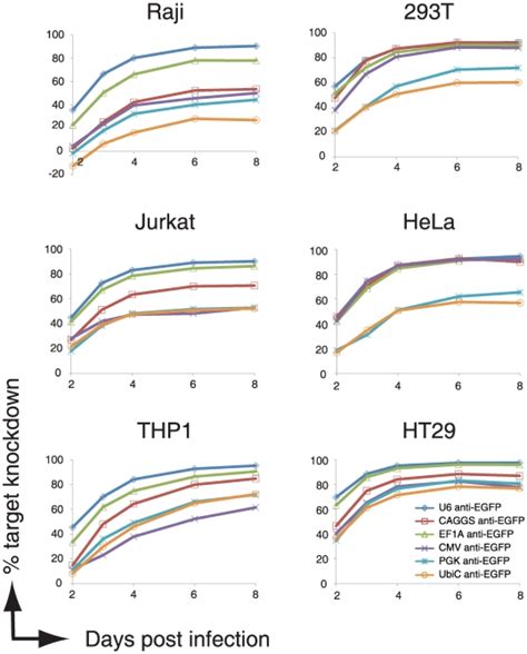 Egfp Expressing Human Immune Cell Types Raji B Cells Jurkat T Cells