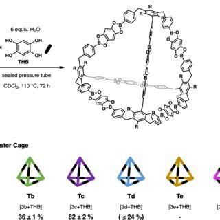 synthesis  boronate ester tetrahedral cages  general synthetic