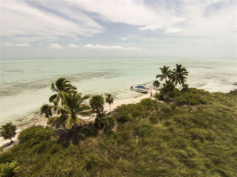 Leonardo Dicaprio Builds Eco Resort In Belize The Seattle Times