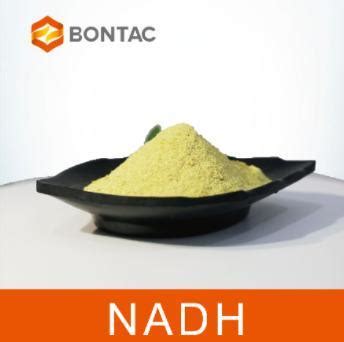 β Nicotinamide Adenine Dinucleotide Reduced Form NADH China