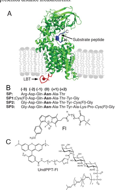 Figure From Probing Polytopic Membrane Protein Substrate Interactions