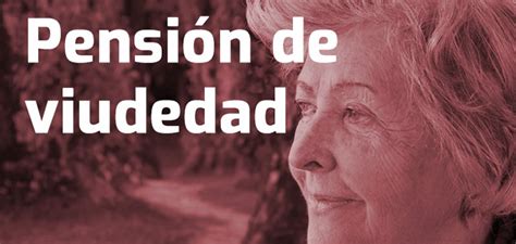 PensiÓn De Viudedad