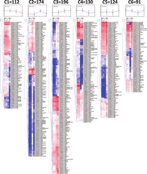 Heatmaps Of The Six Largest Clusters Obtained By Clustering The