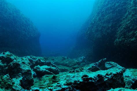 Worlds Oldest Ocean Crust Dates Back To Ancient Supercontinent New