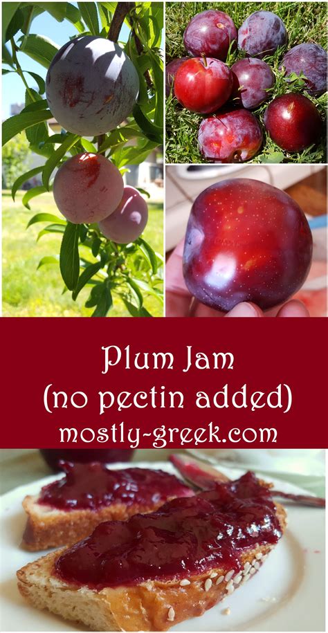 Plum Jam Recipe (No Pectin Added)