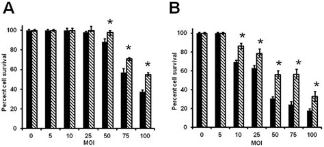 Cytotoxic Effect Of M Genitalium Strains On Cervical Epithelial Cells